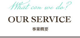 女性MRコンサルのフラームジャパンの事業概要