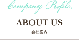 女性MRコンサルのフラームジャパンの会社案内